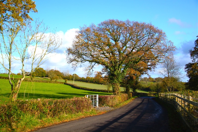 Stacks Image 634