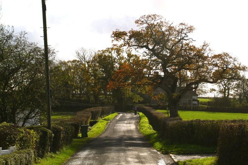 Stacks Image 644