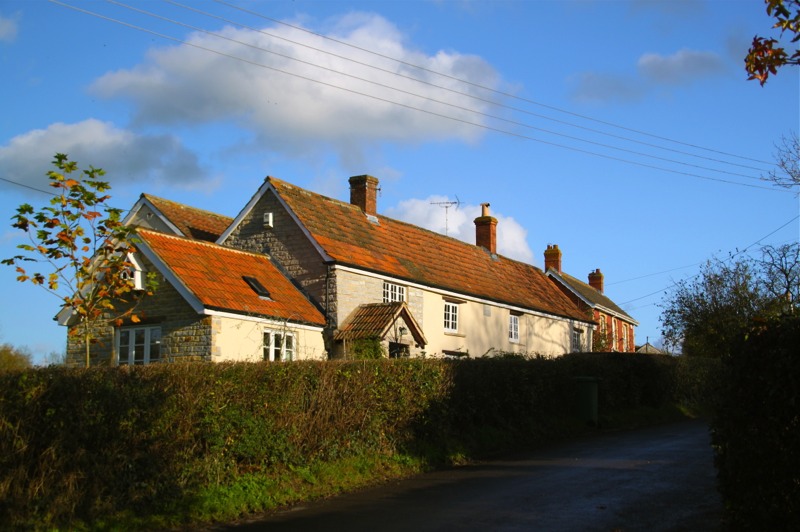 Stacks Image 669