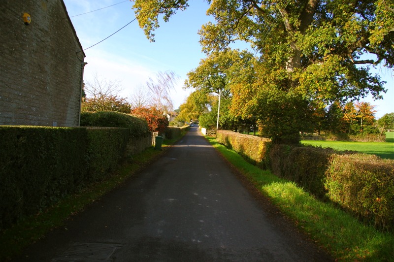 Stacks Image 676